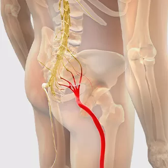 Dau than kinh toa.jpg