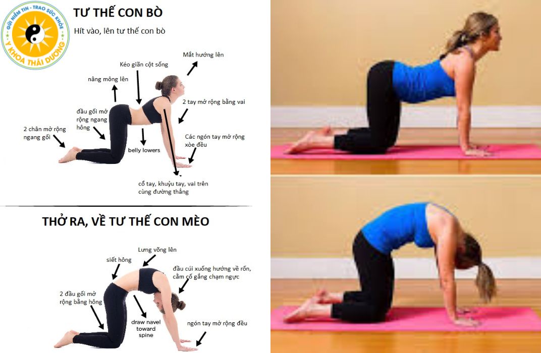 5 bài tập yoga giảm đau thần kinh tọa hiệu quả và an toàn tại nhà