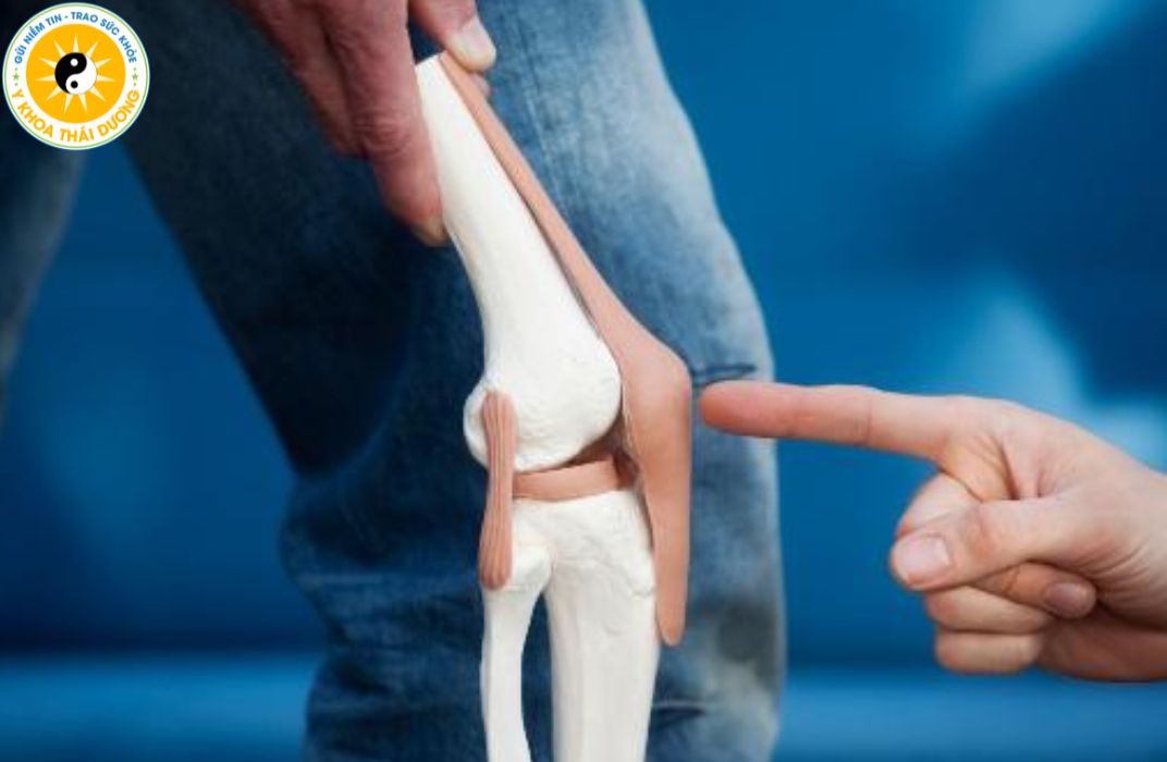 Bí quyết duy trì hệ cơ xương khớp khỏe mạnh ở mọi độ tuổi