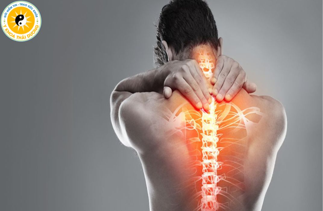 Trị liệu thần kinh cột sống Chiropractic: Hiệu quả chỉnh cơ - khớp - cột sống