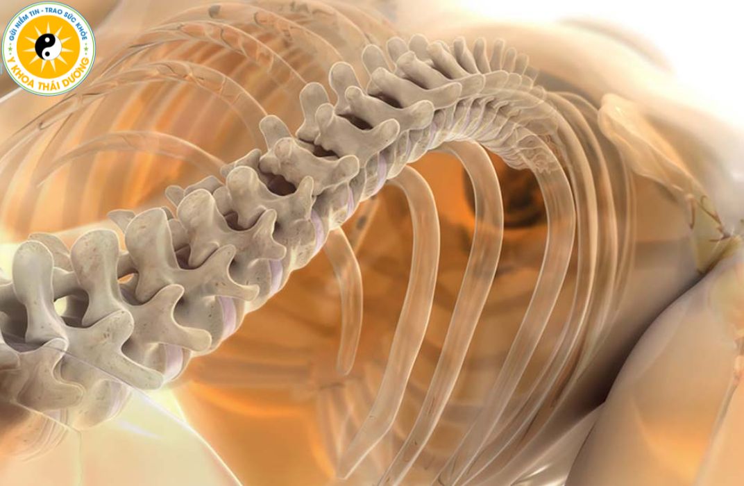 Trị liệu thần kinh cột sống Chiropractic: Hiệu quả chỉnh cơ - khớp - cột sống